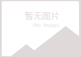 日照岚山晓亦咨询有限公司